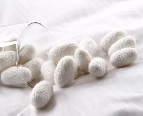 蠶絲被里面為什么會有小疙瘩?