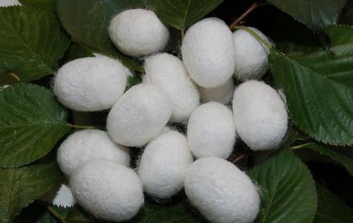 真絲洗滌小竅門(mén)你知道有哪些嗎？