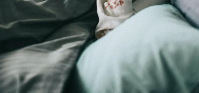 冬季蠶絲被:溫暖冬日的理想之選